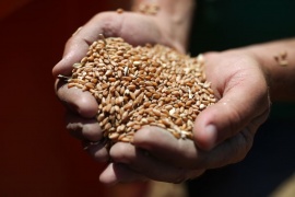 В Госдуме намерены ликвидировать "серые" схемы оборота зерна